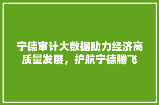 宁德审计大数据助力经济高质量发展，护航宁德腾飞