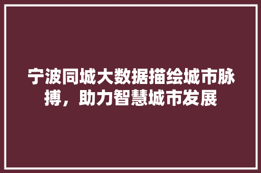 宁波同城大数据描绘城市脉搏，助力智慧城市发展