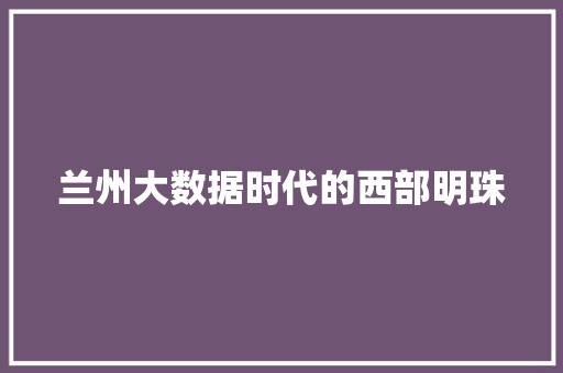 兰州大数据时代的西部明珠  第1张