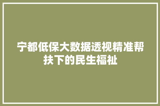 宁都低保大数据透视精准帮扶下的民生福祉