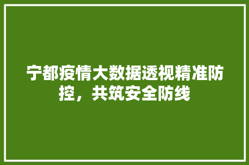 宁都疫情大数据透视精准防控，共筑安全防线  第1张