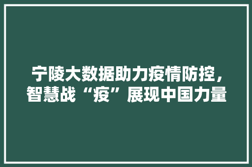 宁陵大数据助力疫情防控，智慧战“疫”展现中国力量  第1张