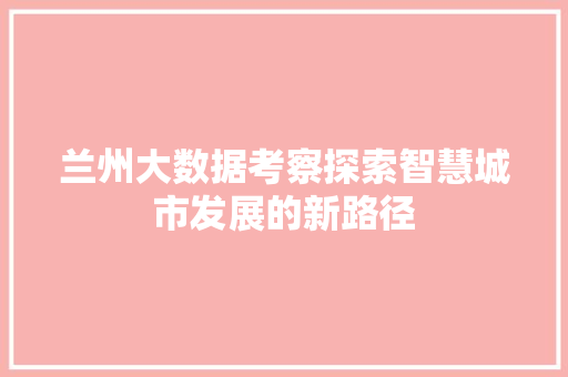 兰州大数据考察探索智慧城市发展的新路径  第1张