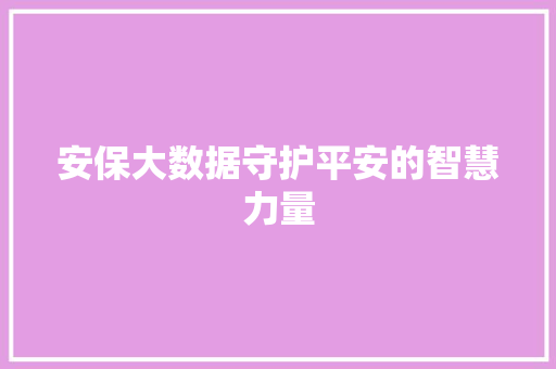 安保大数据守护平安的智慧力量