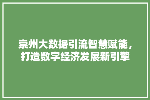崇州大数据引流智慧赋能，打造数字经济发展新引擎