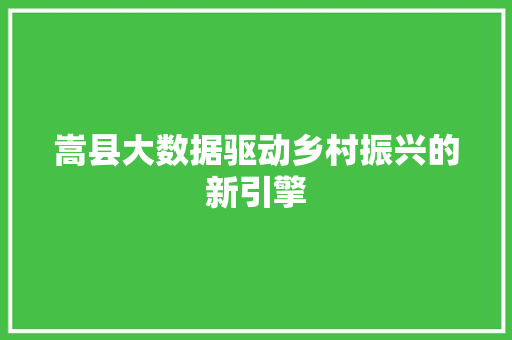 嵩县大数据驱动乡村振兴的新引擎  第1张