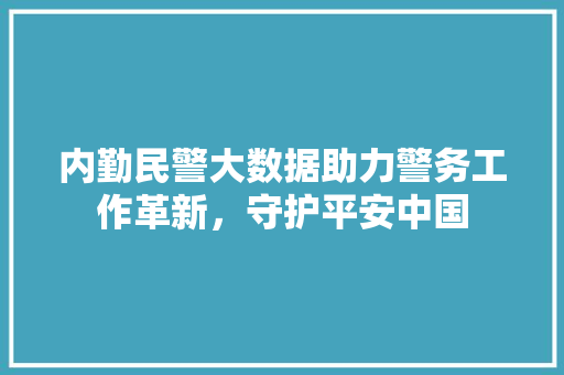 内勤民警大数据助力警务工作革新，守护平安中国  第1张