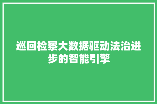 巡回检察大数据驱动法治进步的智能引擎  第1张