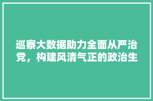 巡察大数据助力全面从严治党，构建风清气正的政治生态  第1张