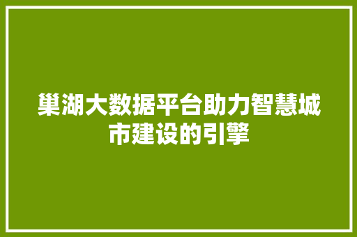 巢湖大数据平台助力智慧城市建设的引擎  第1张