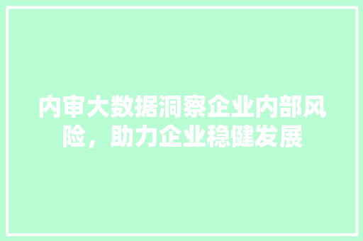 内审大数据洞察企业内部风险，助力企业稳健发展  第1张