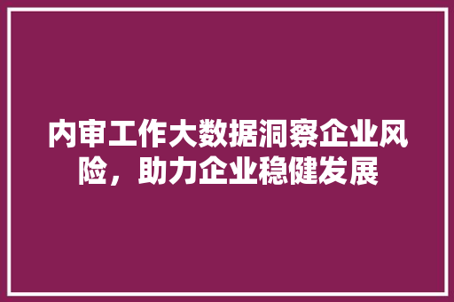 内审工作大数据洞察企业风险，助力企业稳健发展  第1张