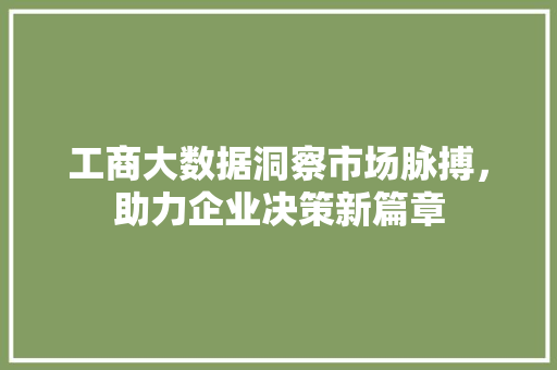 工商大数据洞察市场脉搏，助力企业决策新篇章