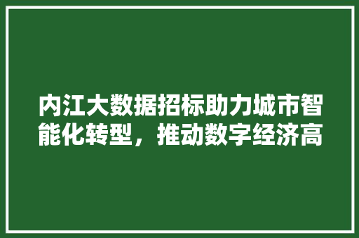 内江大数据招标助力城市智能化转型，推动数字经济高质量发展