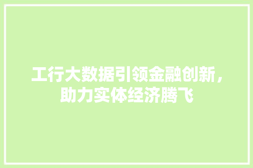 工行大数据引领金融创新，助力实体经济腾飞