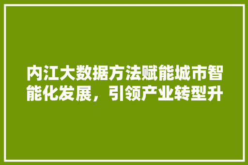 内江大数据方法赋能城市智能化发展，引领产业转型升级