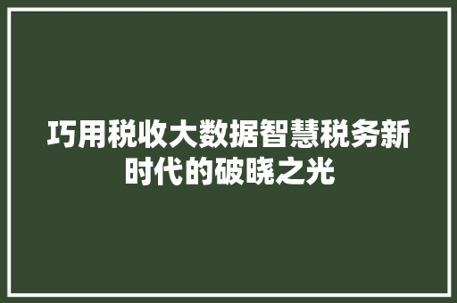 巧用税收大数据智慧税务新时代的破晓之光  第1张