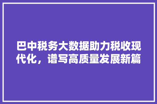 巴中税务大数据助力税收现代化，谱写高质量发展新篇章