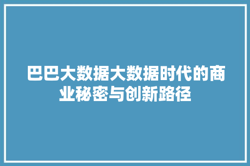 巴巴大数据大数据时代的商业秘密与创新路径  第1张