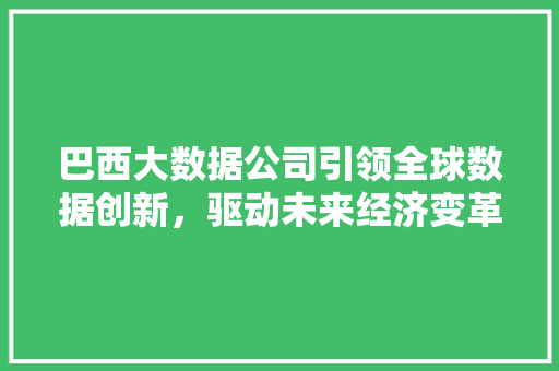 巴西大数据公司引领全球数据创新，驱动未来经济变革