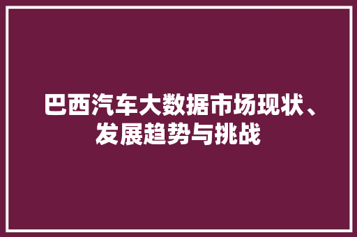巴西汽车大数据市场现状、发展趋势与挑战