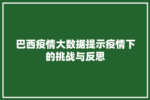 巴西疫情大数据提示疫情下的挑战与反思  第1张