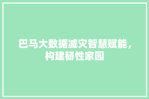 巴马大数据减灾智慧赋能，构建韧性家园