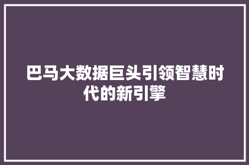 巴马大数据巨头引领智慧时代的新引擎