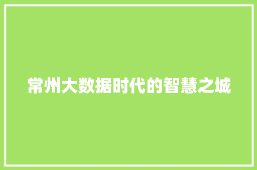常州大数据时代的智慧之城  第1张