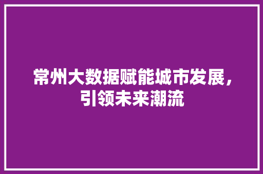 常州大数据赋能城市发展，引领未来潮流  第1张