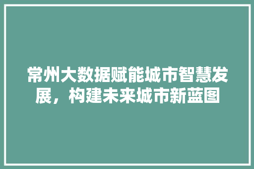 常州大数据赋能城市智慧发展，构建未来城市新蓝图  第1张