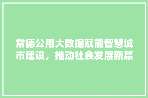 常德公用大数据赋能智慧城市建设，推动社会发展新篇章