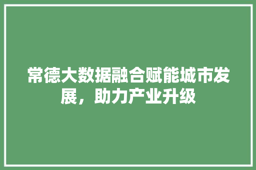 常德大数据融合赋能城市发展，助力产业升级