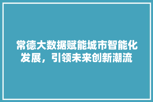 常德大数据赋能城市智能化发展，引领未来创新潮流