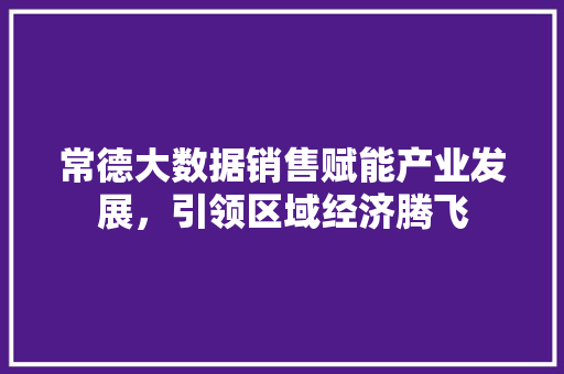 常德大数据销售赋能产业发展，引领区域经济腾飞