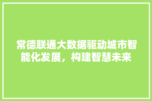 常德联通大数据驱动城市智能化发展，构建智慧未来