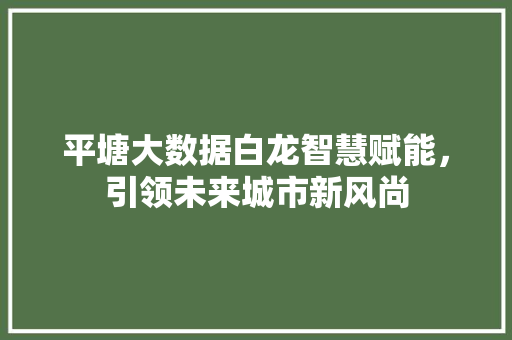平塘大数据白龙智慧赋能，引领未来城市新风尚  第1张