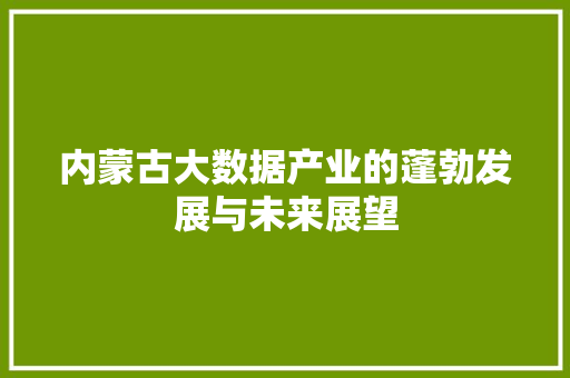 内蒙古大数据产业的蓬勃发展与未来展望  第1张