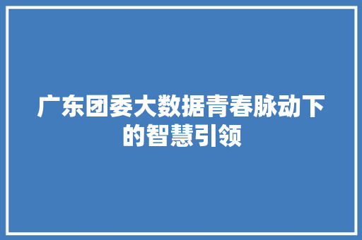 广东团委大数据青春脉动下的智慧引领  第1张