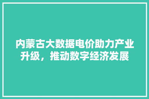 内蒙古大数据电价助力产业升级，推动数字经济发展  第1张