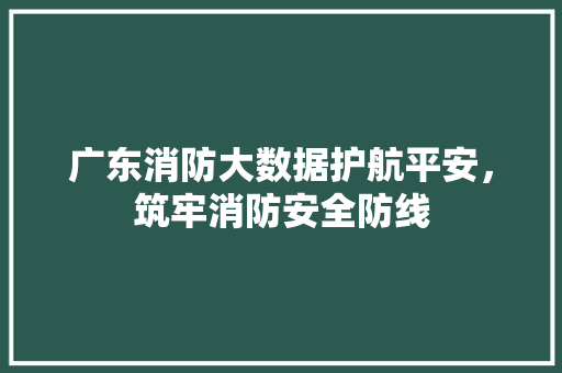 广东消防大数据护航平安，筑牢消防安全防线  第1张