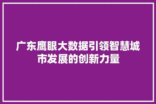 广东鹰眼大数据引领智慧城市发展的创新力量