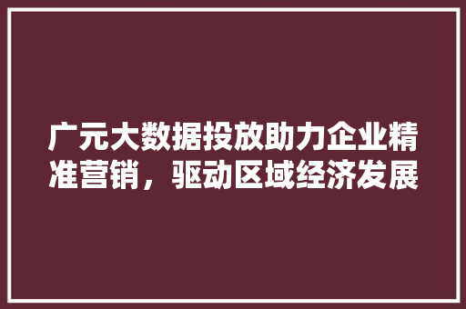 广元大数据投放助力企业精准营销，驱动区域经济发展