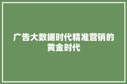 广告大数据时代精准营销的黄金时代  第1张