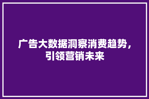 广告大数据洞察消费趋势，引领营销未来  第1张