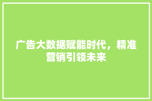 广告大数据赋能时代，精准营销引领未来  第1张