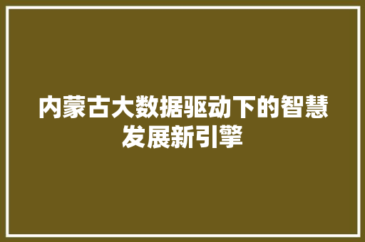 内蒙古大数据驱动下的智慧发展新引擎