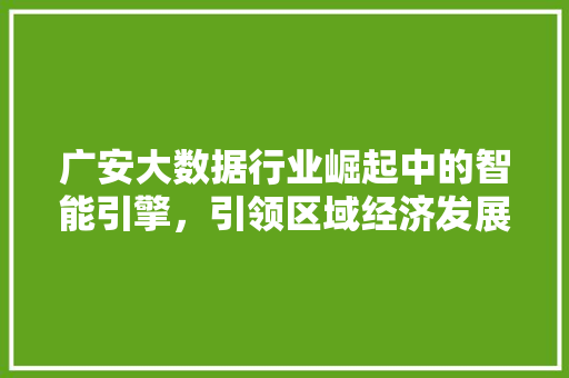 广安大数据行业崛起中的智能引擎，引领区域经济发展新篇章  第1张