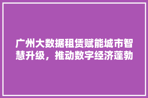 广州大数据租赁赋能城市智慧升级，推动数字经济蓬勃发展  第1张