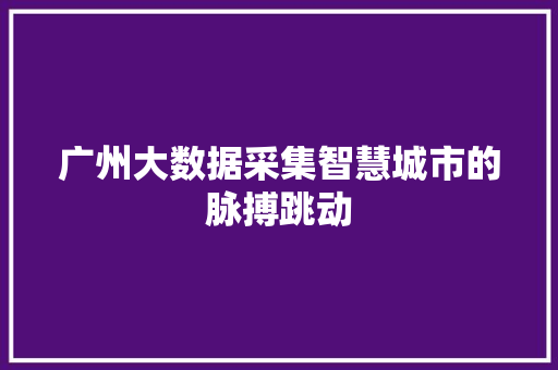 广州大数据采集智慧城市的脉搏跳动  第1张